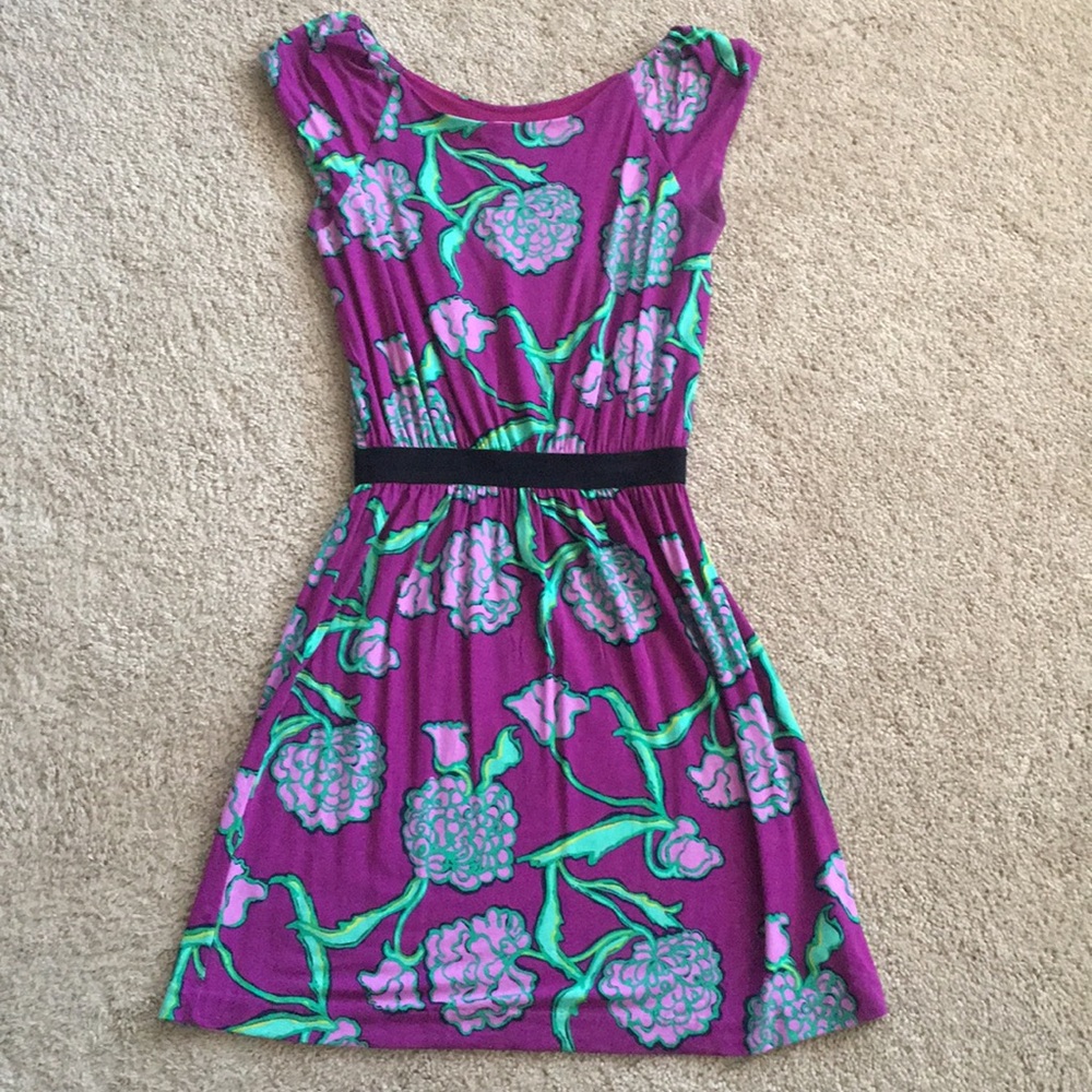 Lilly Pulitzer hydrangea dress size XS